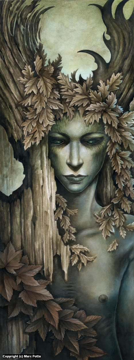 Infected By Art » Art Gallery » Marc Potts » Wood Elf in Traditional Art